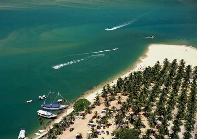 6 praias de alagoas que você precisa conhecer praia do gunga