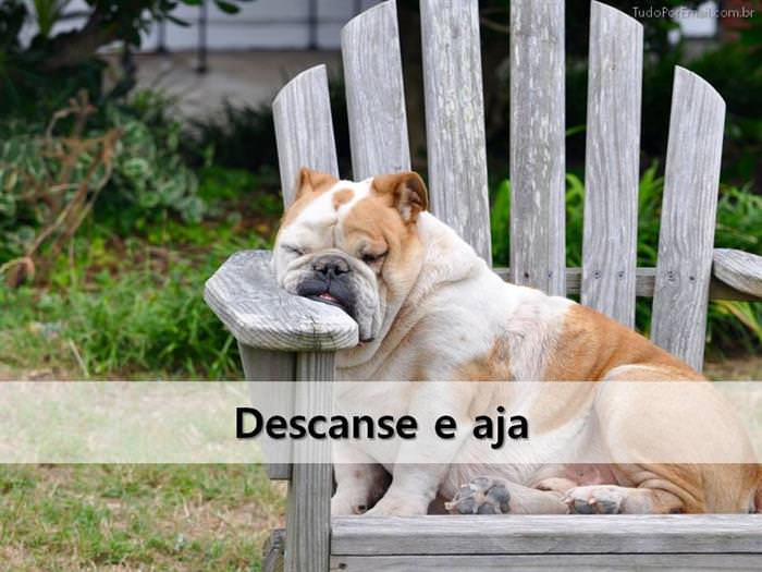 descanse e aja