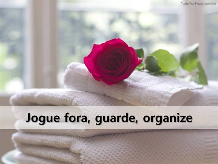 jogue fora guarde organize