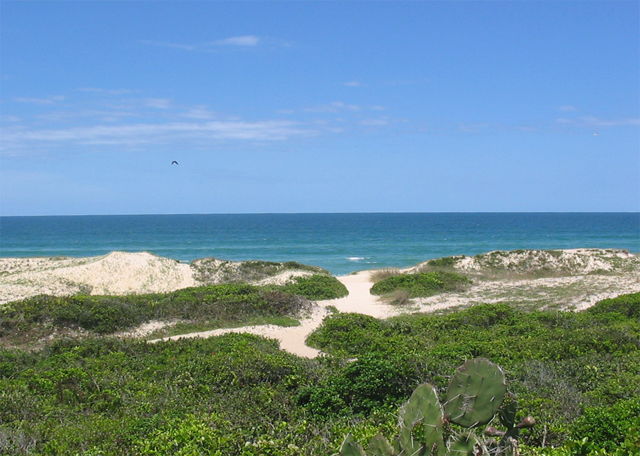 praia do campeche