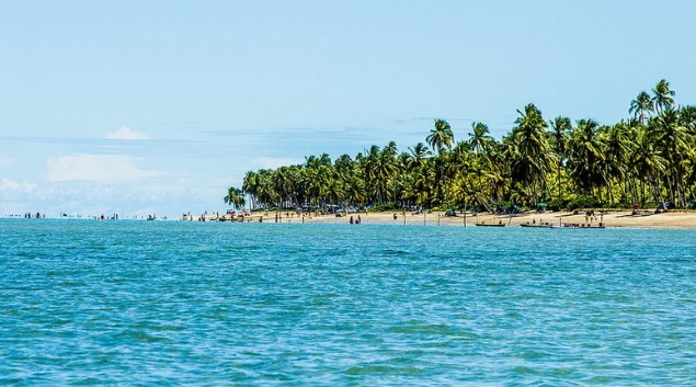 praia do patacho 6 praias de alagoas que você precisa conhecer